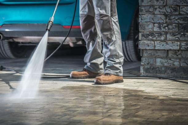 Best Pool Deck Cleaning in Lexington, MN