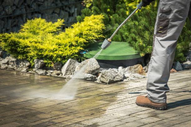 Trusted Lexington, MN Pressure Washing Services Experts