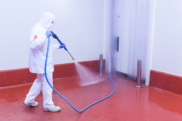 Best Rust and Stain Removal in Lexington, MN