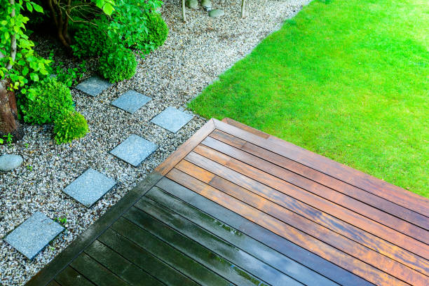 Best Roof Cleaning and Mildew Removal in Lexington, MN