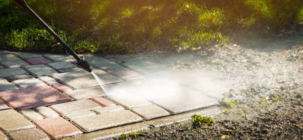 Best Soft Washing for Delicate Surfaces in Lexington, MN